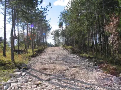 Gračišće, okolica - Grundstück 2.000 m² im grünen Istrien - 5