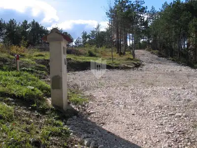 Gračišće, surroundings - plot 2,000 m² in green Istria
