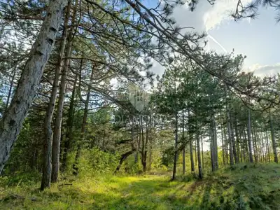 Gračišće, okolica - Grundstück 2.000 m² im grünen Istrien - 4