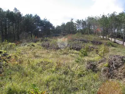 Gračišće, okolica - Grundstück 2.000 m² im grünen Istrien - 6