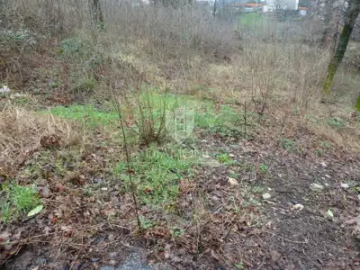 Building plot 1,724 m², Čavle - quiet location - 2