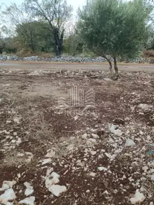 Building plot 573 m², Debeljak - peaceful and well-maintained