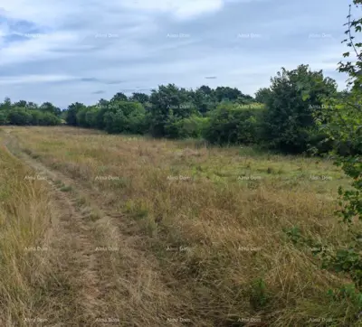 Građevinsko zemljište 1.600 m², Svetvinčenat - mirna lokacija