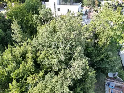 Opatija, center, house, 70 m², land 529 m² - 19