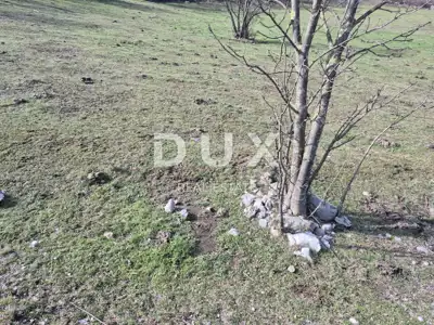 Baugrundstück, Soboli - eben und sonnig 702 m² - 10