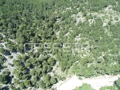 Baugrundstück 11.937 m², Prižba - Tourismuszone - 6