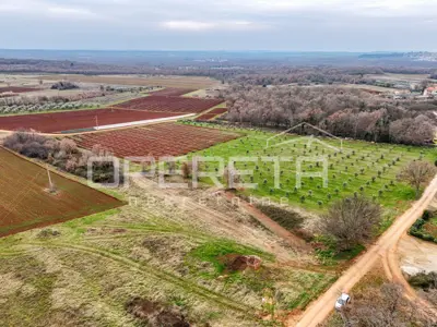 Poljoprivredno zemljište 5.677 m², Kaštelir - pogled na more