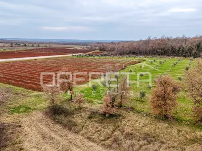 Poljoprivredno zemljište 5.677 m², Kaštelir - pogled na more - 5