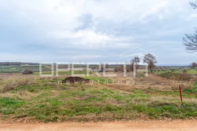 Poljoprivredno zemljište 5.677 m², Kaštelir - pogled na more - 3