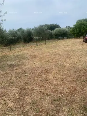 Građevinsko zemljište 2.470 m², Brtonigla - uz glavnu prometnicu - 4