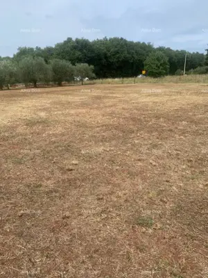 Građevinsko zemljište 2.470 m², Brtonigla - uz glavnu prometnicu - 2