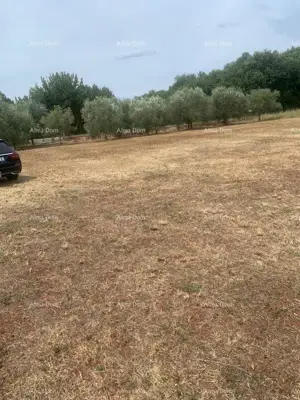 Building plot 2,470 m², Brtonigla - along the main road