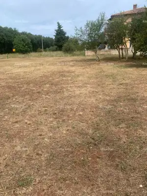 Građevinsko zemljište 2.470 m², Brtonigla - uz glavnu prometnicu - 6