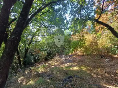 Građevinsko zemljište 1.751 m², Gornji Zamet - mirna lokacija - 3