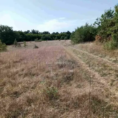 Agricultural land 68,000 m², Marčana - public access - 4