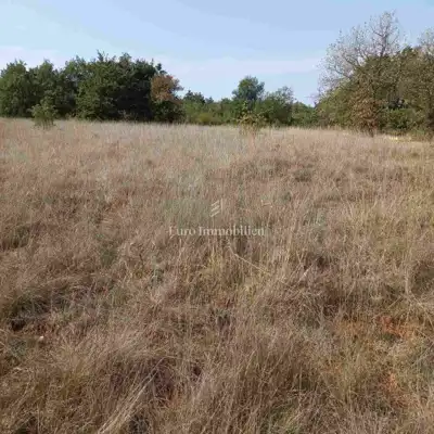 Agricultural land 68,000 m², Marčana - public access - 5