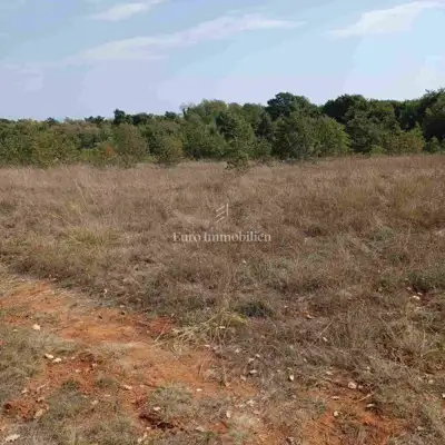 Agricultural land 68,000 m², Marčana - public access - 8