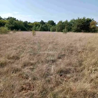 Agricultural land 68,000 m², Marčana - public access - 2