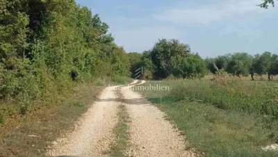 Agricultural land 68,000 m², Marčana - public access