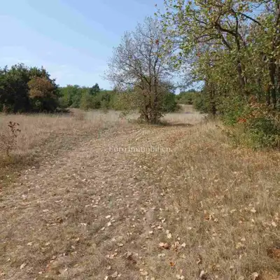 Agricultural land 68,000 m², Marčana - public access - 6
