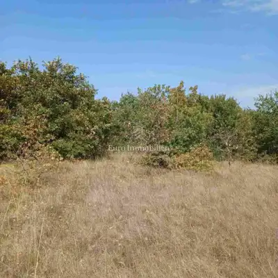 Agricultural land 68,000 m², Marčana - public access - 7