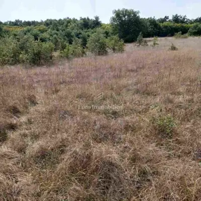 Agricultural land 68,000 m², Marčana - public access - 3
