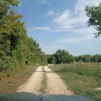 Agricultural land 68,000 m², Marčana - public access - 9