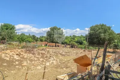 Poreč, surrounding area, spacious building plot! - 4