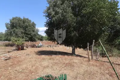 Poreč, surrounding area, spacious building plot! - 6