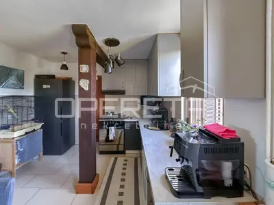 House 120 m², Brežane Lekeničke - landscaped estate - 12