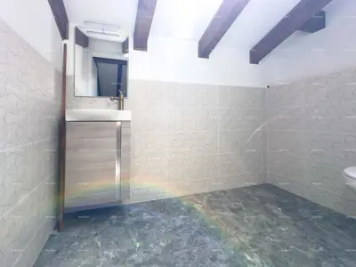 Prodajemo renoviranu Istarsku kamenu kuću u okolici Žminja! - 18