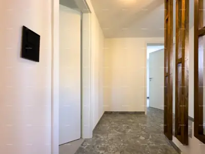 Prodajemo renoviranu Istarsku kamenu kuću u okolici Žminja! - 3