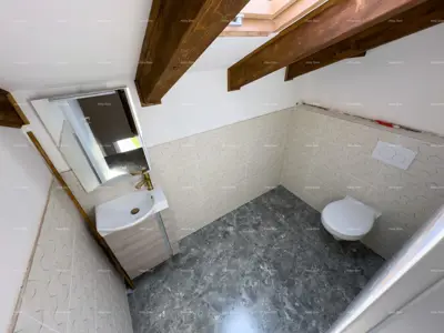 Prodajemo renoviranu Istarsku kamenu kuću u okolici Žminja! - 19