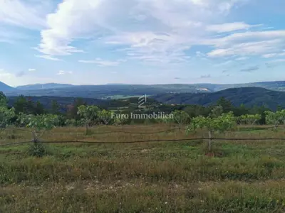 70.000 m² Feigenplantage, Kršan - eingezäunt und bewässert - 6