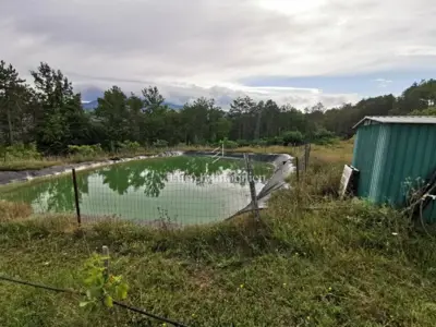 70.000 m² Feigenplantage, Kršan - eingezäunt und bewässert - 8