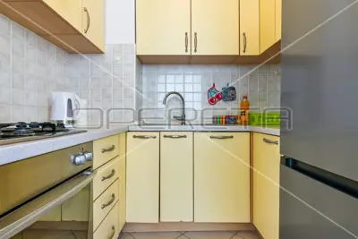 Najam, Stan, Kvatrić, Fijanova, 2s, 55 m² - 4