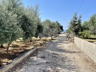 Vir, centar, zemljište 877 m² s kućom za renovaciju 121 m² - 7