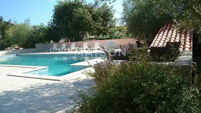 Obiteljski hotel – mir, masline i more - 6