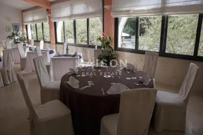 Obiteljski hotel – mir, masline i more - 12