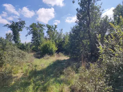 Land 9 794 m², Valtura by the main road and airport - 5