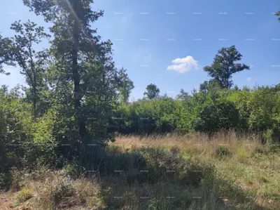 Land 9 794 m², Valtura by the main road and airport - 3