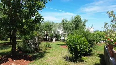 Kuća 150 m², Marčana - blizu mora i plaža - 16