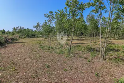 Building land 908 m², Svetvinčenat - flat plot