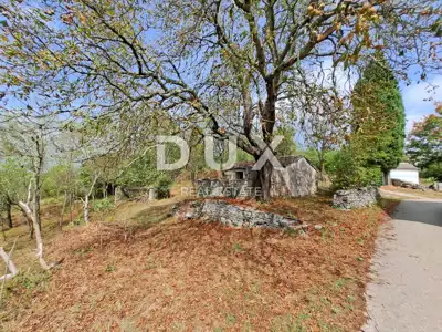 ISTRIEN, UMGEBUNG VON GROŽNJAN - Altbau zur Renovierung mit Grundstück von 60.000 m² - 16