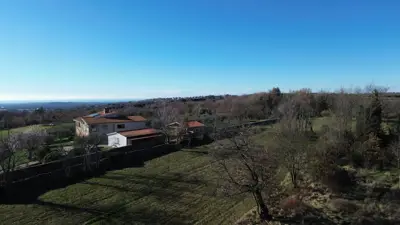 Višnjan, several building plots in an excellent location, opportunity! - 7