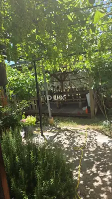 DALMATIEN, KARIN DONJI - Großzügiges Haus mit zwei Apartments und Konoba - 22