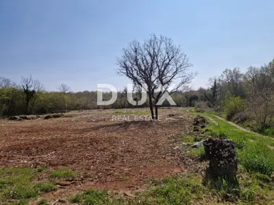 Bauland 2.768 m², Poreč - Rand der Bauzone - 2