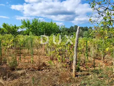 Zemljište 745 m², Barban - projekt za kuću s bazenom - 11
