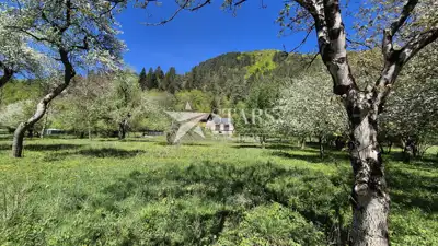 Haus 116 m², Iševnica - ruhige Lage inmitten der Natur - 2