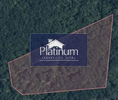 Wald 10.000 m², Pinezići - an der Straße